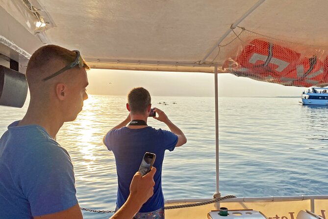 2-Hour Dolphin Guided Safari NP Brijuni Review - Dolphin Sightings and Experiences