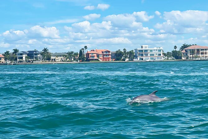 2-Hour Dolphin Watching Tour in Florida - Meeting and Pickup Details