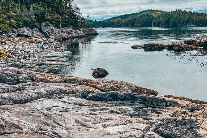2 Hour Evening Adventure Kayaking Tour - Health and Safety Guidelines