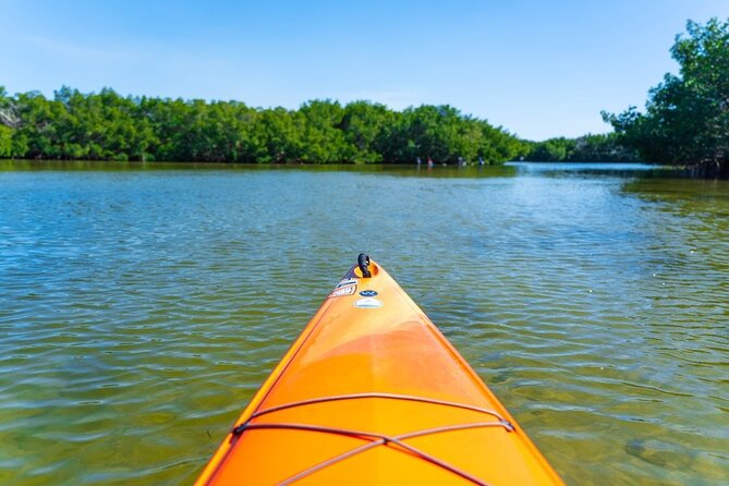 2 Hour Guided Kayak Tour in Boca Ciega Bay - St. Pete - Inclusions and Equipment