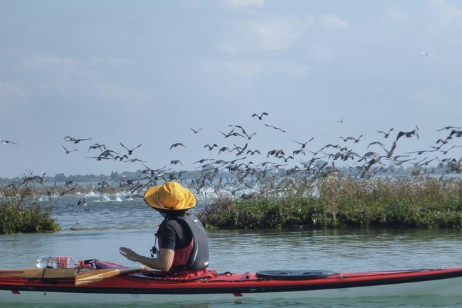 2 Hour Night Kayak Tour in Venice, Premium Experience With Sunset - Experience Details