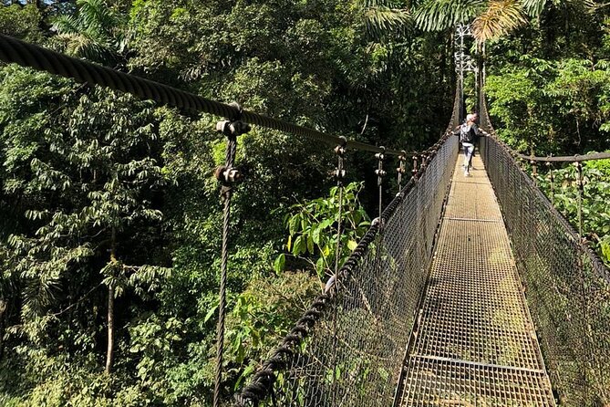 2-Hour Private Místico Hanging Bridges Naturalist Walk - Private Transportation Convenience