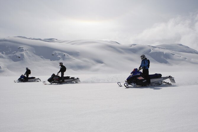 2 Hour Wilderness Adventure Snowmobile Tour in Whistler - Departure Times and Options