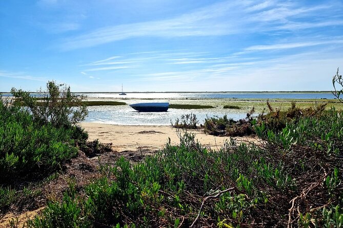 2 Hours Kayak Island Tour in the Natural Park of Ria Formosa - Inclusion and Equipment