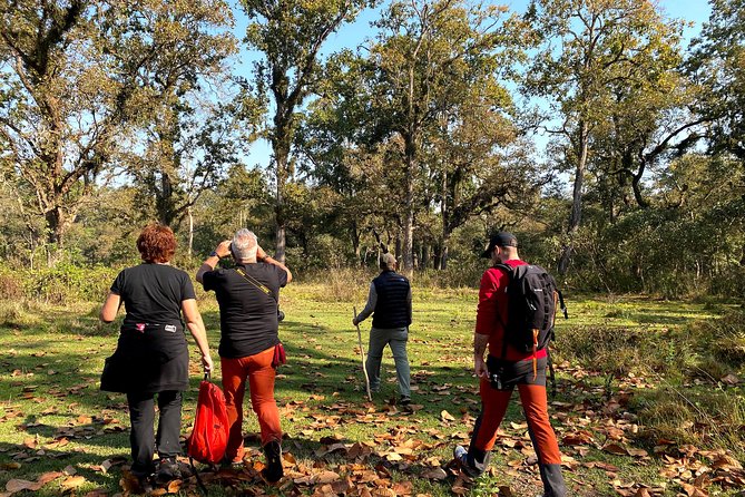2 Hours Nature Walk in Chitwan National Park - What to Expect on the Tour
