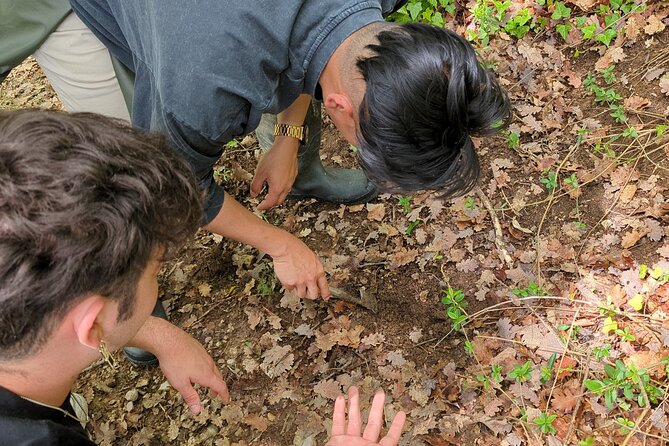 2 Hours Private Activity - Truffle Hunting in Assisi - Discovering the Secrets of Truffles