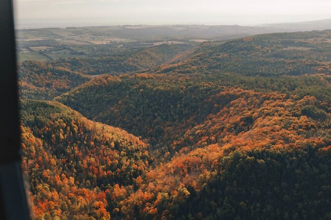 20 Minute Scenic Helicopter Private Tour - Meeting and Pickup