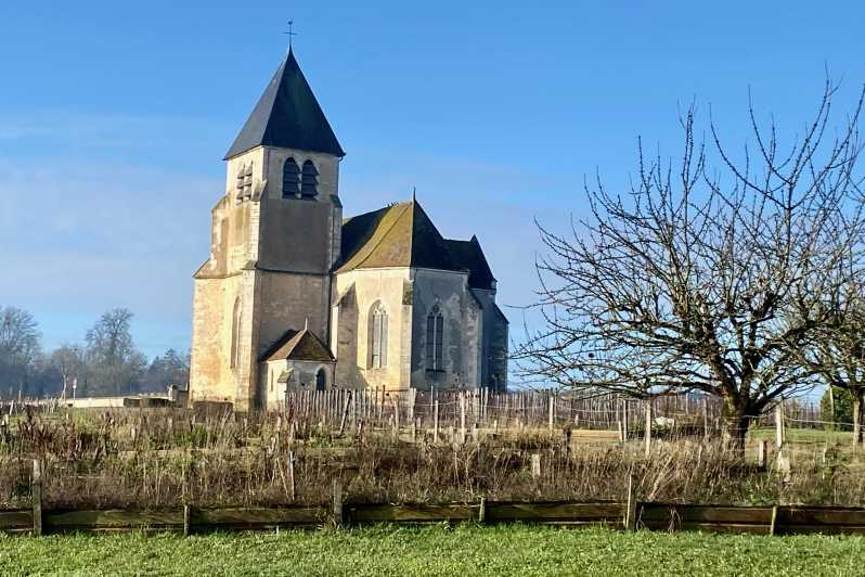 3-Day Castles, Champagne & Chablis Wine Tasting Private Tour - Itinerary: Day 2