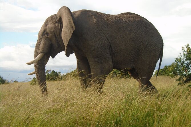 3 Day Diani Beach to Tsavo East & West - Included Meals