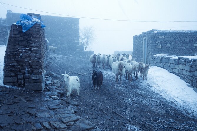 3-Day Hiking & Trekking Tour Remote Villages in Guba - Immersive Trekking Experience