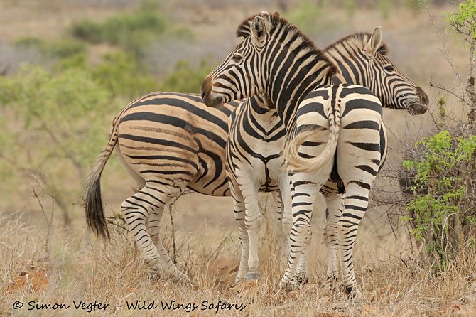3-Day Kruger National Park Open Vehicle Safari - Detailed Itinerary Breakdown