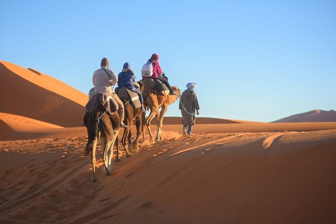 3-Day Luxury/Budget Desert Tour to Marrakech via Merouga From Fez - Day 1 Highlights