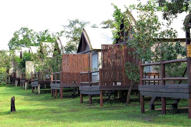 3 Day Luxury Tented Kruger Safari From Johannesburg - Guided Safari Game Drives