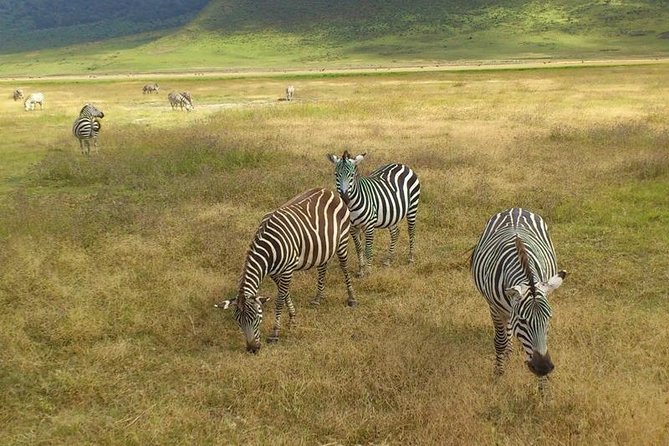 3 Day Private Safari in Serengeti and Ngorongoro National Park - Itinerary Highlights