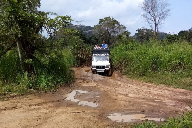 3 Day Private Tour From Negombo to Sigiriya and Kandy - Day 1 Itinerary