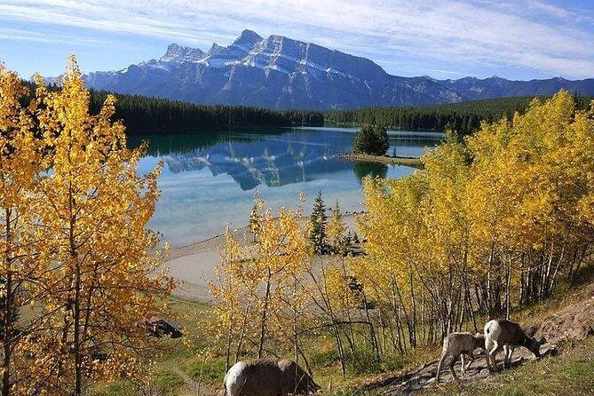 3-Day Rockies Express Tour Package: Banff, Lake Louise and Yoho - Included Experiences