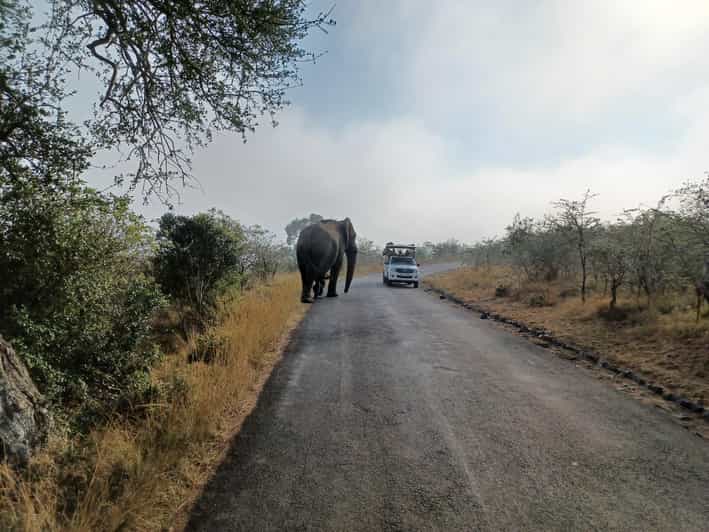 3 Day Safari In Kruger National Park
