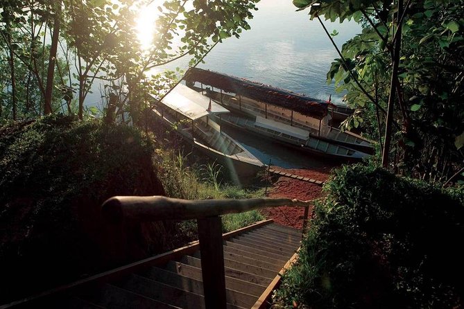 3 Day Tambopata Amazon Jungle Tour at Inkaterra Reserva Amazónica - Activity Highlights