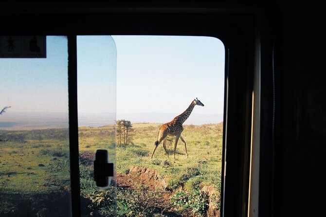 3-Day Tarangire, Lake Manyara and Ngorongoro - Highlights of Tarangire