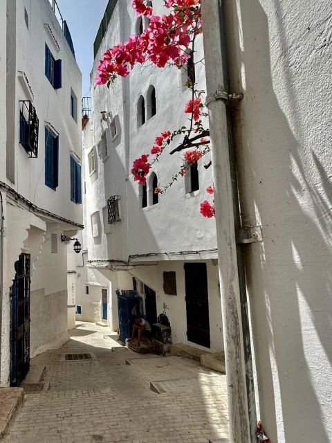 3-Day Tour to Fes Via Chefchaouen Starting With Tangier
