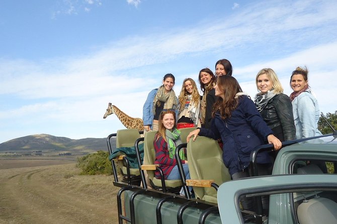 3 Day Wildlife Safari Tour - Garden Route Small Group Tour From Cape Town - Accommodation and Meals