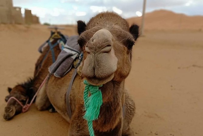 3 Days 2 Nights: Desert Tour From Fes to Marrakech - Itinerary Breakdown