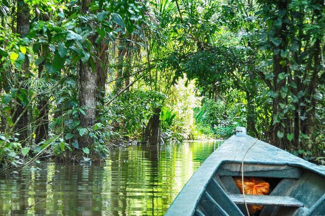 3 Days 2 Nights - Tambopata Jungle - Accommodation and Meals