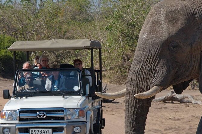 3 Days Activity-Packed Package in Victoria Falls - Included Activities and Experiences