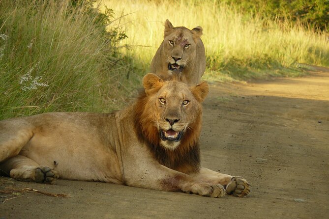 3 Days Durban Safari Tour Package - Meeting and Pickup Details