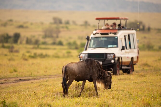 3 Days Fly in Safari - Accommodation and Amenities