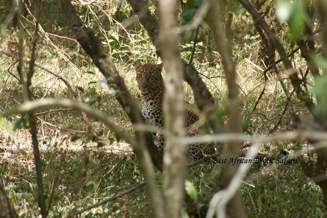 3 Days Masai Mara Budget Safari - Pickup and Meeting Point
