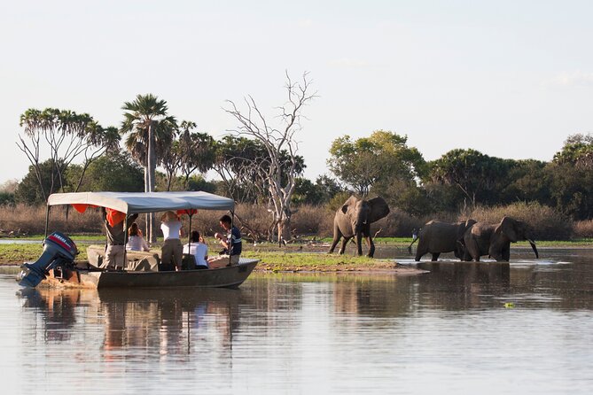 3 Days Nyerere (Selous) Park Private Safari With Boat Trip - Boat Safari on Rufiji River