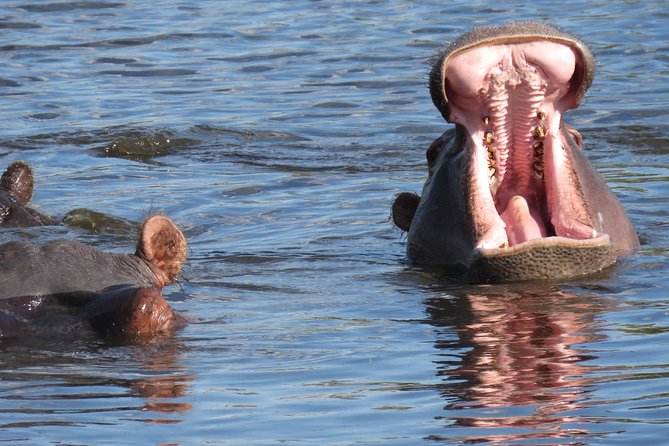 3 Days Okavango Delta - Pricing and Group Size