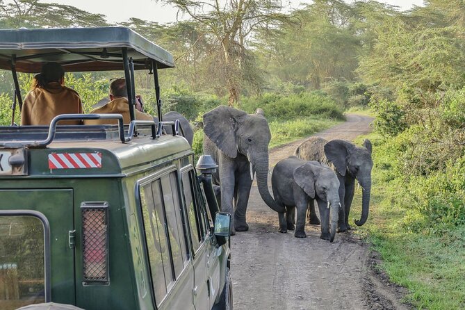 3 Days Serengeti Park & Ngorongoro Crater Adventure Safari - Whats Included
