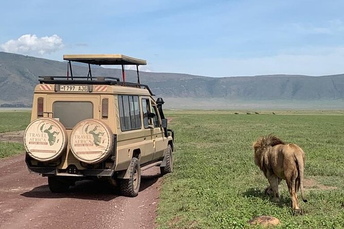 3 Days Small Group Safari to Serengeti NP and Ngorongoro Crater Tour in Tanzania - Day 1 Itinerary Details