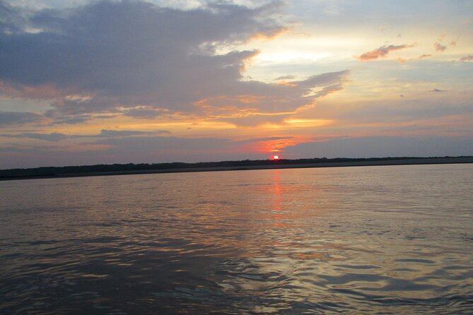 3-Days Tour in the Amazon Rainforest at Curassow Amazon Lodge - Discovering Amazon Wildlife