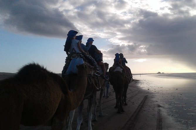 3-Hour Camel Ride at Sunset - Meeting and Pickup Details