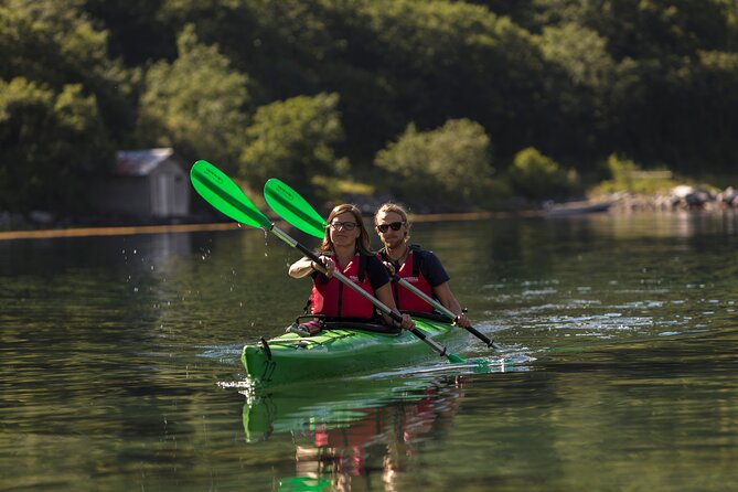 3-Hour Guided Kayak Experience in Geiranger - Meeting Point and Logistics