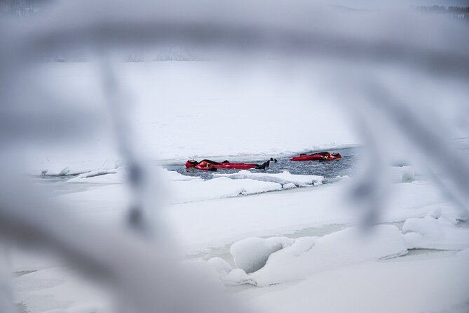 3-Hour Shared Arctic Morning Floating Experience in Norway - Warm and Comfortable Attire