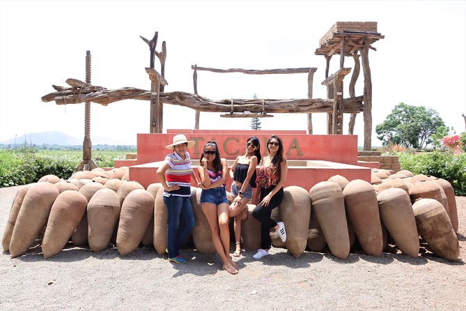 3-Hour Wine and Pisco Tour / Tacama and El Catador - Winemaking Process