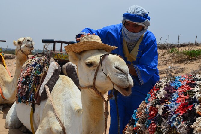 3 Hours Camel Ride in Essaouira, Beach and Dunes - Itinerary Highlights
