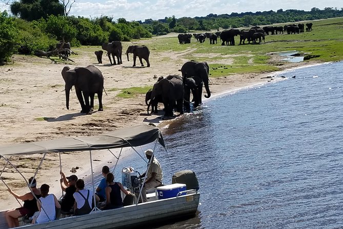 3 Hours Chobe River Boat Cruise - Inclusions and Exclusions