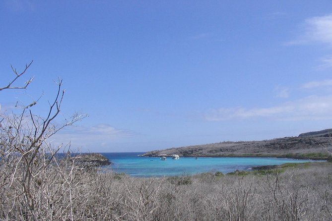 4-Day Galapagos Islands Express Tour - Transportation Details