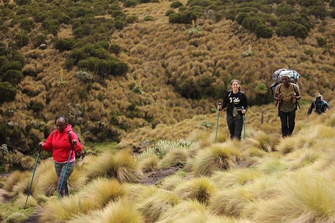 4-Day Mount Kenya Trekking With Pick up - Inclusions and Exclusions