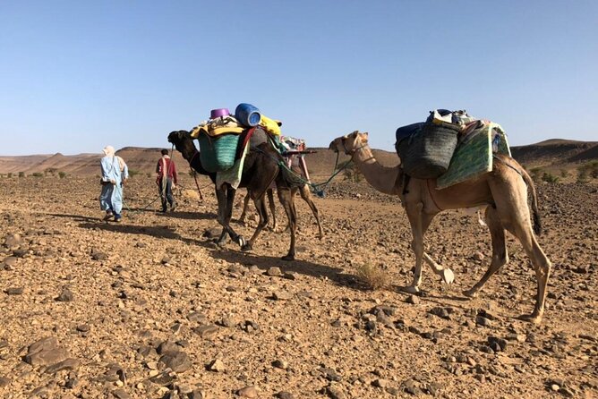 4 Day Private Desert Trek From MHAMID to Chegaga - Experiencing Bivouac Accommodation