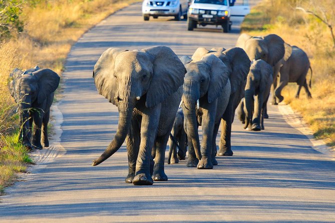 4 Day Private Kruger Under Canvas Safari - Exclusions to Consider