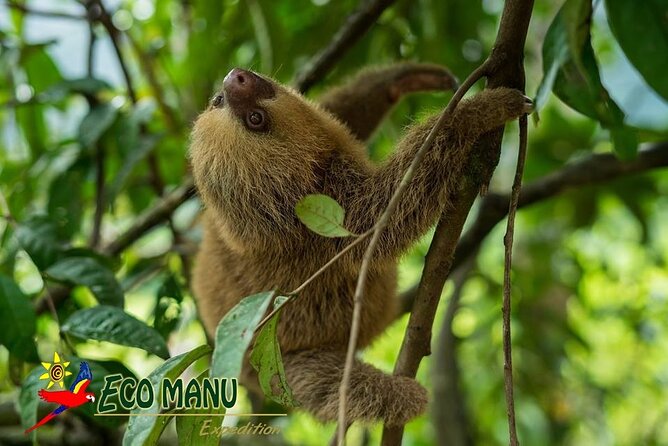 4-Day Private Tour to Manu National Park From Cusco - Wildlife Sightings