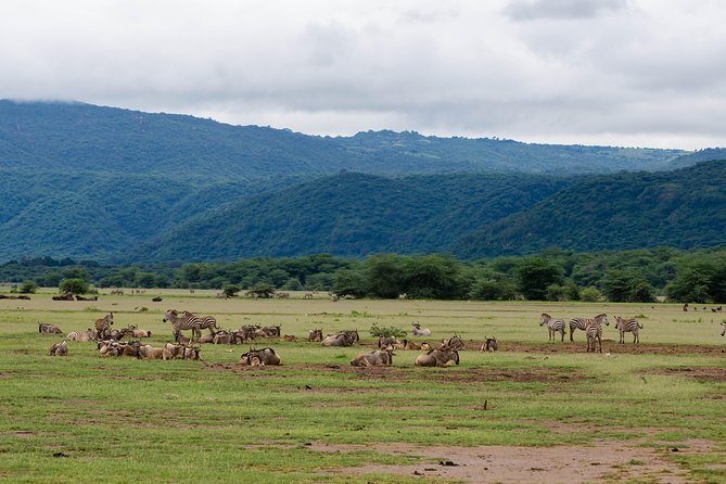 4-day Tanzania Safari - Whats Not Included