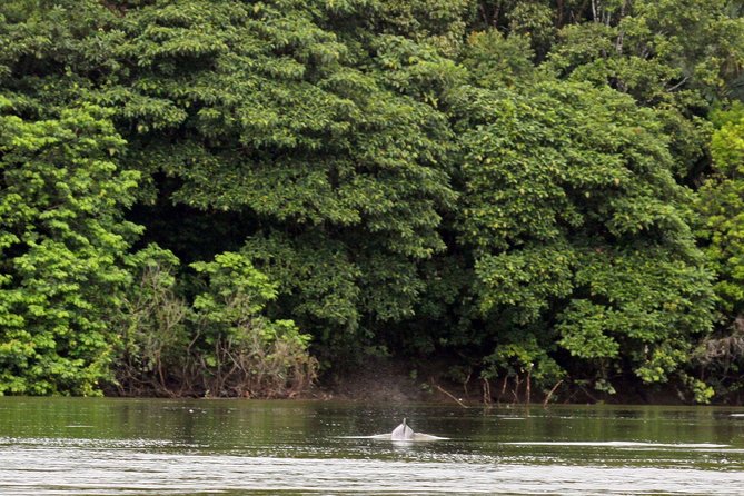 4-Day Trip: Cuyabeno Amazon Experience - Accommodations and Amenities