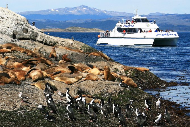 4-Day Trip to Ushuaia by Air From Buenos Aires - Discovering the Beagle Channel